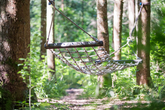 Ab in den Wald!