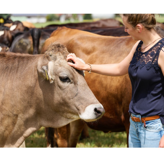 Besuch auf dem Bauernhof