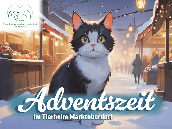 © Tierschutzverein Marktoberdorf