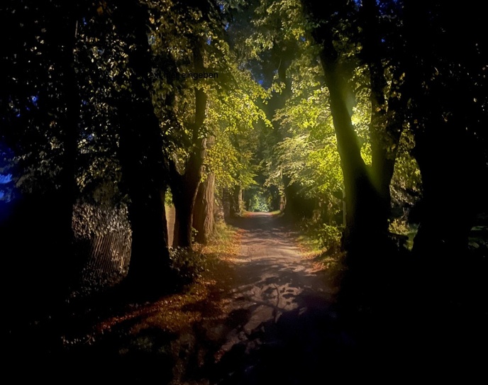 © Helen van Almsick